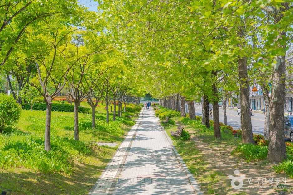 매탄공원