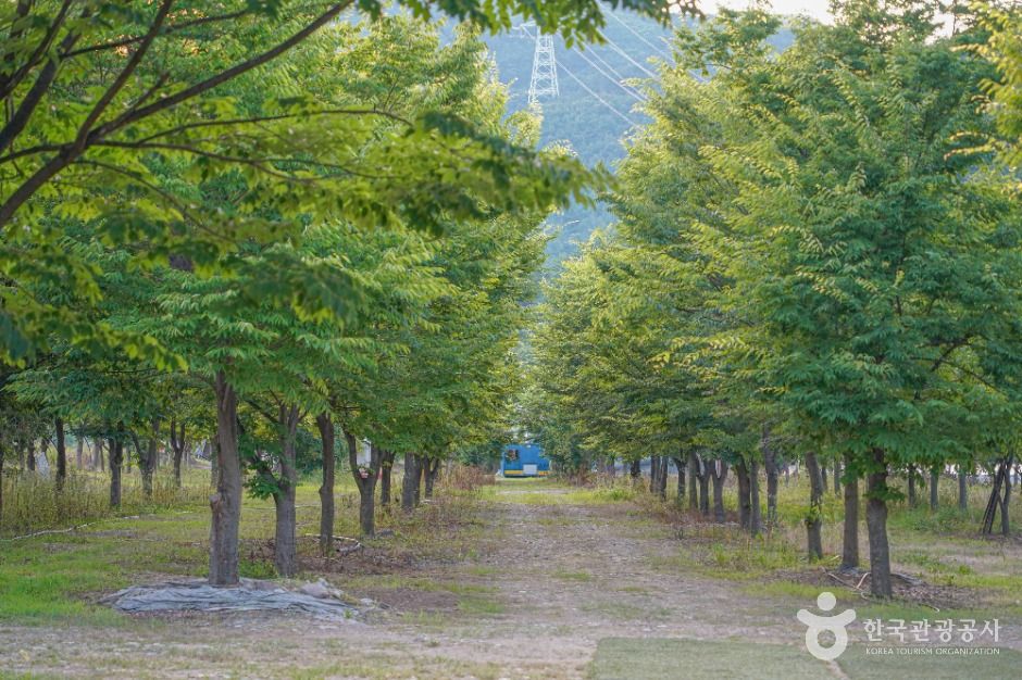 단장숲유원지