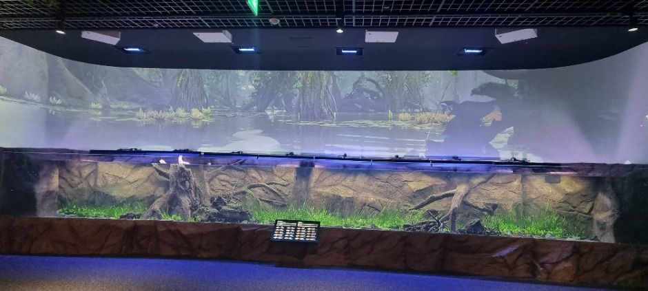 단양 다누리아쿠아리움