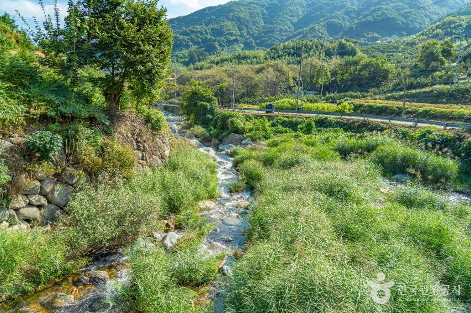 thumbnail-고운동계곡-8