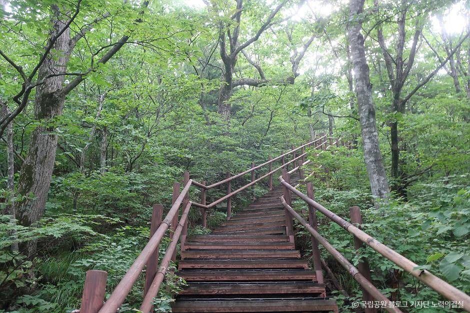 오대산국립공원