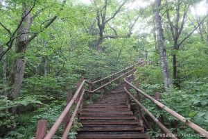 평창_오대산국립공원 (3)