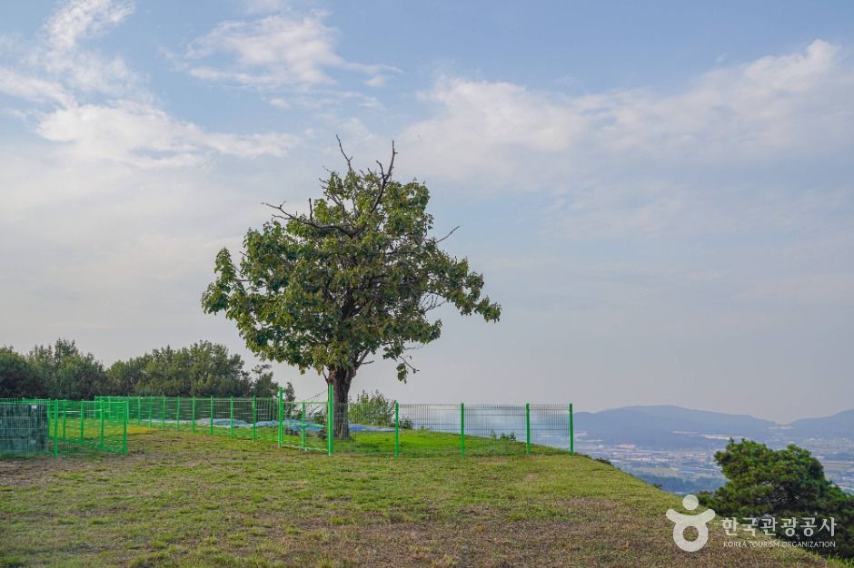 thumbnail-죽주산성-3