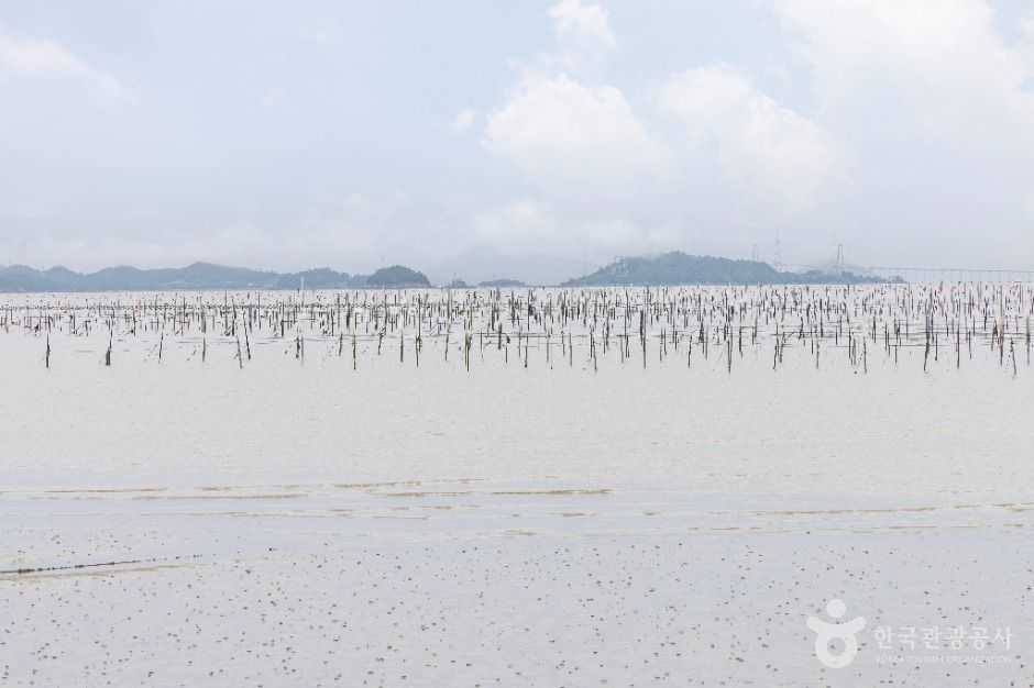 자은고교여객선터미널