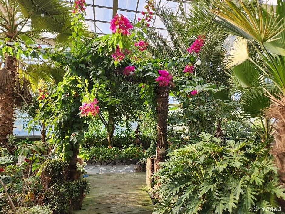 뒷뜨루관광농원