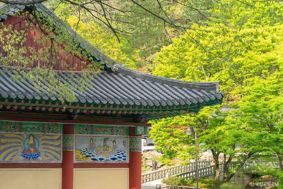 thumbnail-파계사-22