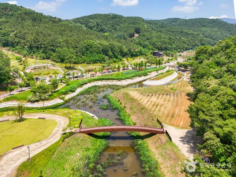 대구_서리지 수변생태공원 (2)