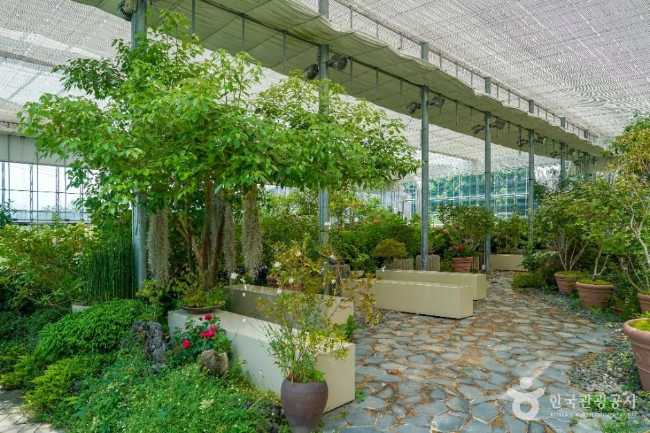 창원_진해보타닉뮤지엄 (7)