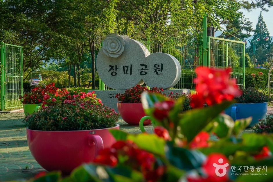 thumbnail-장미공원(창원)-1