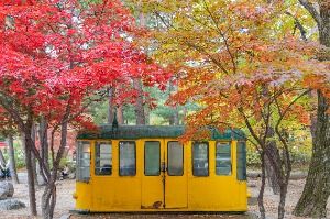 속초_설악산 케이블카 (6)