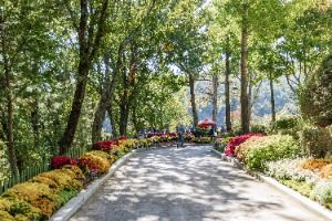 용인_용인농촌테마파크 (1)