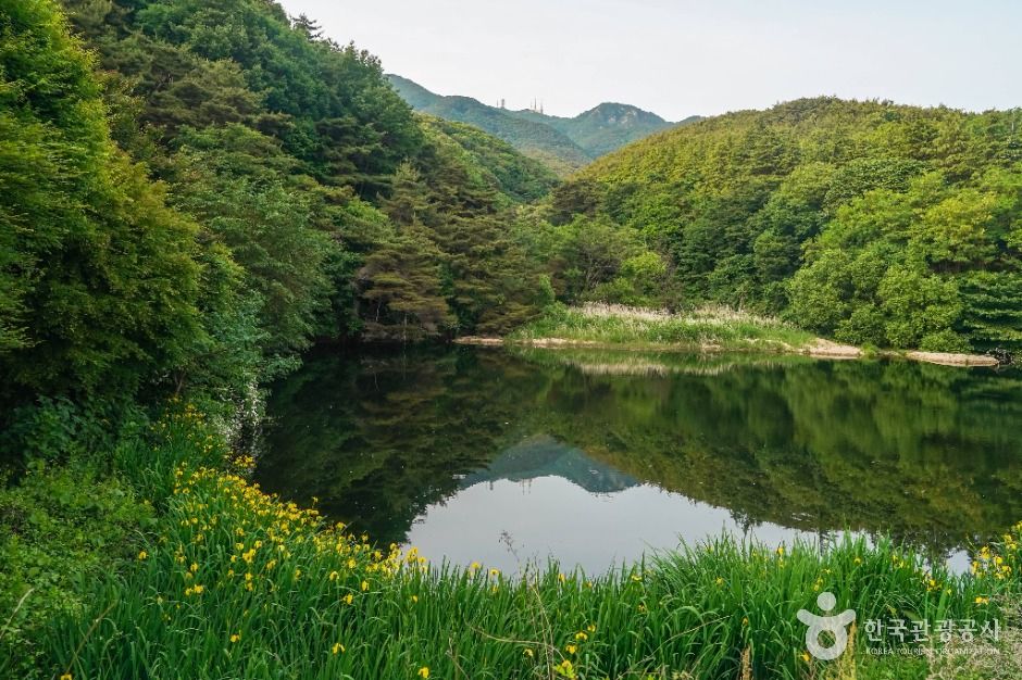 팔공산국립공원(동화사지구)