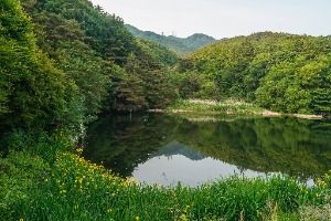 대구_팔공산국립공원(동화사지구) (3)