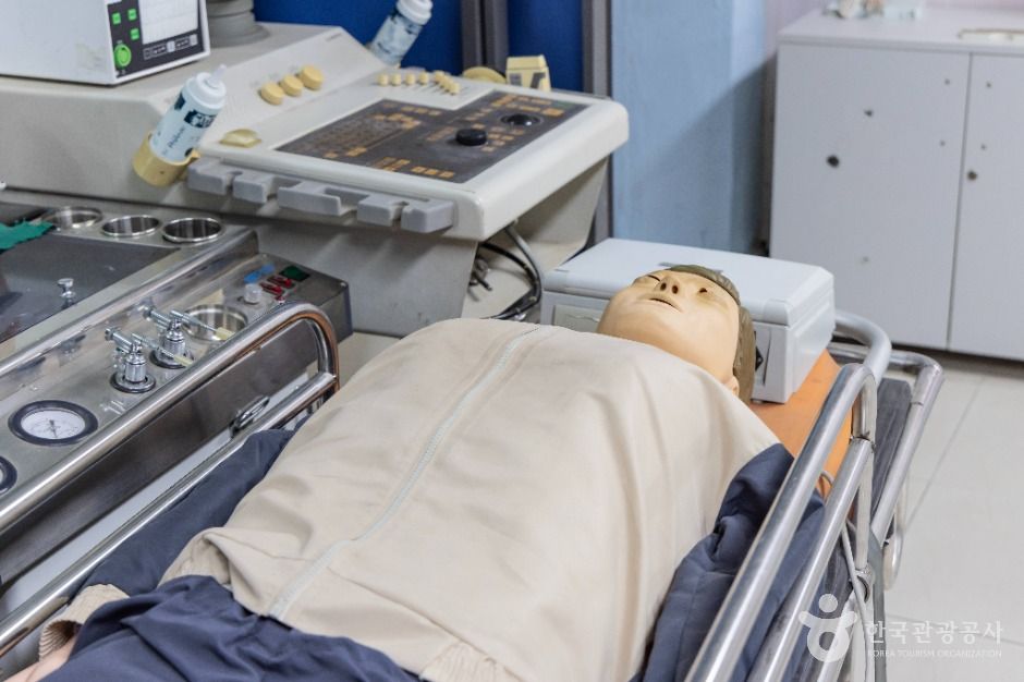 서울_한생연 생명과학박물관 (3)