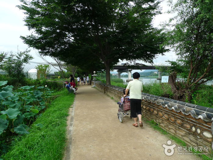 양평 두물머리 사진14