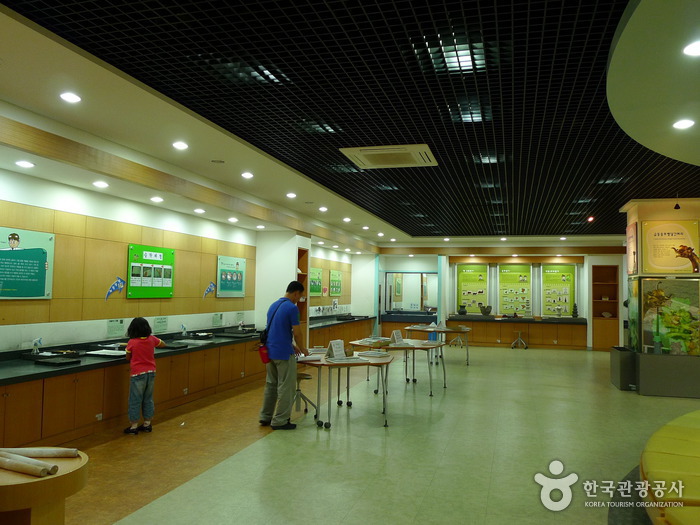 Daegu National Museum (국립대구박물관)