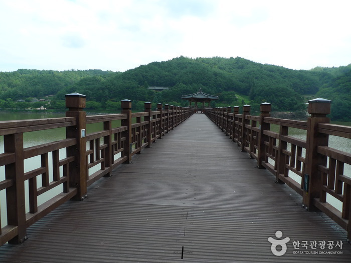 Brücke Woryeonggyo (월영교)5