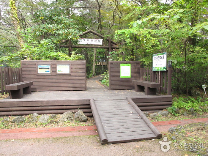 Forêt récréative de Seogwipo (서귀포자연휴양림)