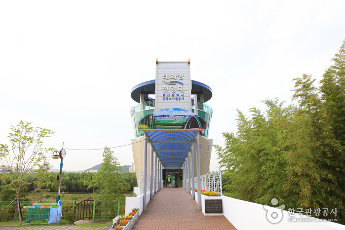 태화강 전망대9