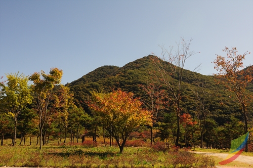 선운산도립공원 사진18