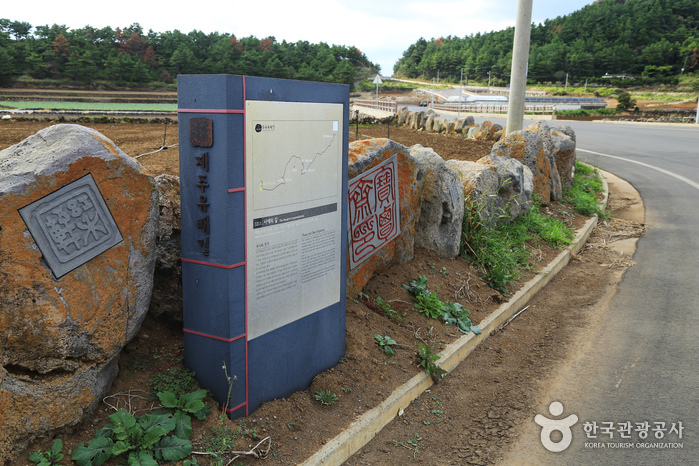 사색의 길 도로변에 추사의 인장이 새겨진 수많은 전각