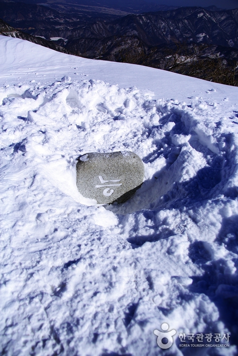 눈밭에 묻힌 능경봉 정상 표지석