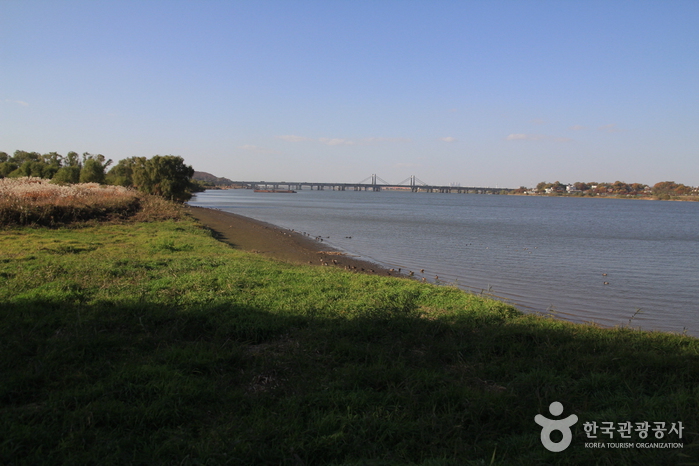 Gangseo Marsh Ecological Park (강서습지생태공원)