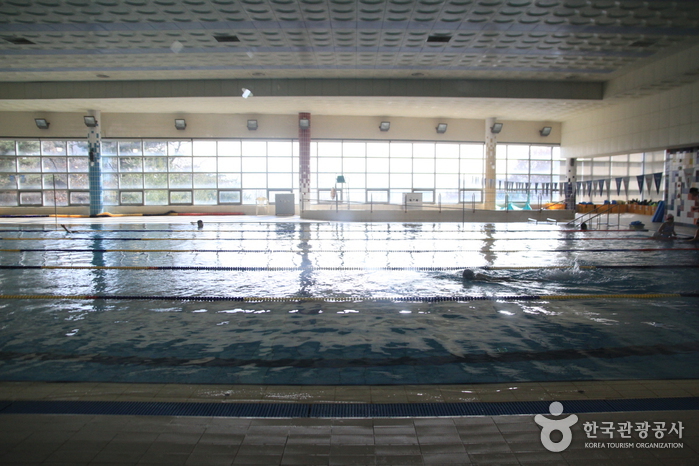정립회관 수영센터(실내)