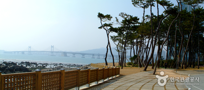 Nurimaru APEC House (누리마루 APEC하우스)