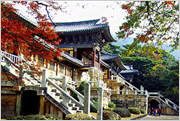 South Korea – Gyeongsangbuk-do