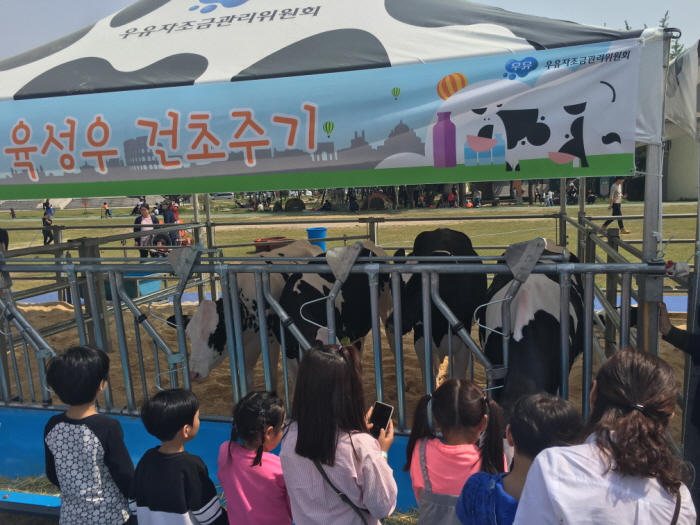 우유의 날&국내산 치즈 페스티벌 20182