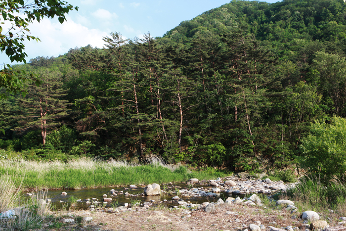 홍천 열목어마을