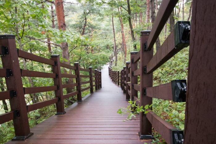 설악산자생식물원