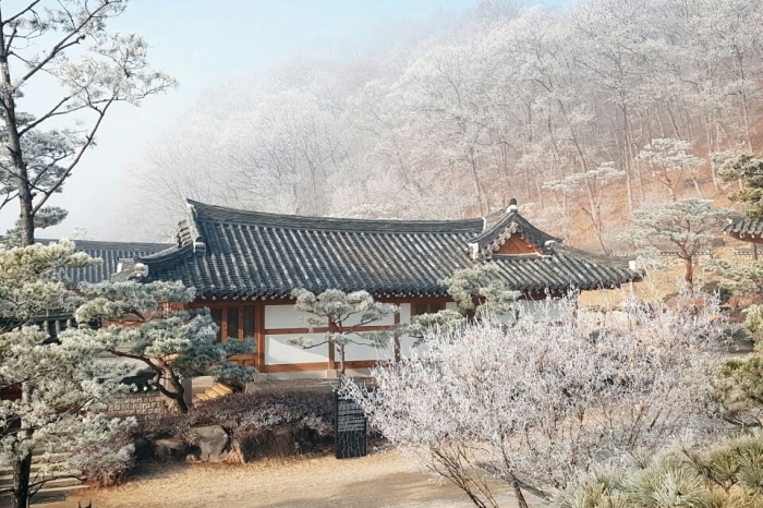 Joseon Wangga [Korea Quality] / 농업회사법인 조선왕가 주식회사 [한국관광 품질인증]