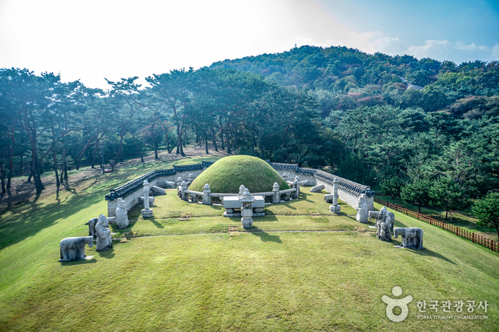 Tombeau royal Uireung [Patrimoine Mondial de l'UNESCO] (서울 의릉)