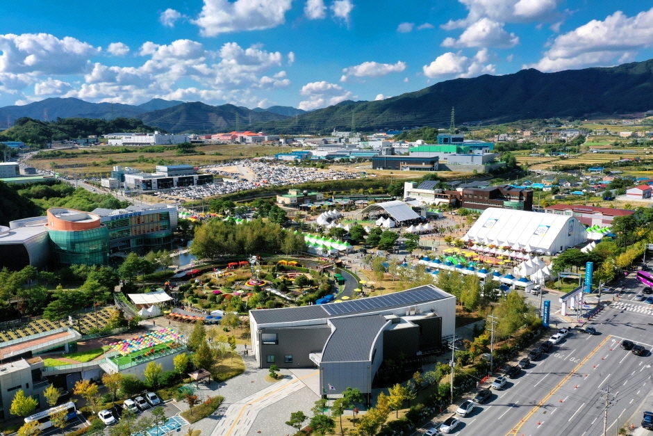 Feria de la Bio-Medicina Coreana en Jecheon (제천한방바이오박람회)