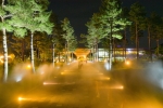 국립세종수목원 야간개장 ＂특별한 夜행＂