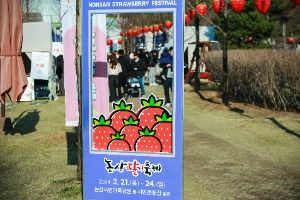 2025 논산딸기축제(5)