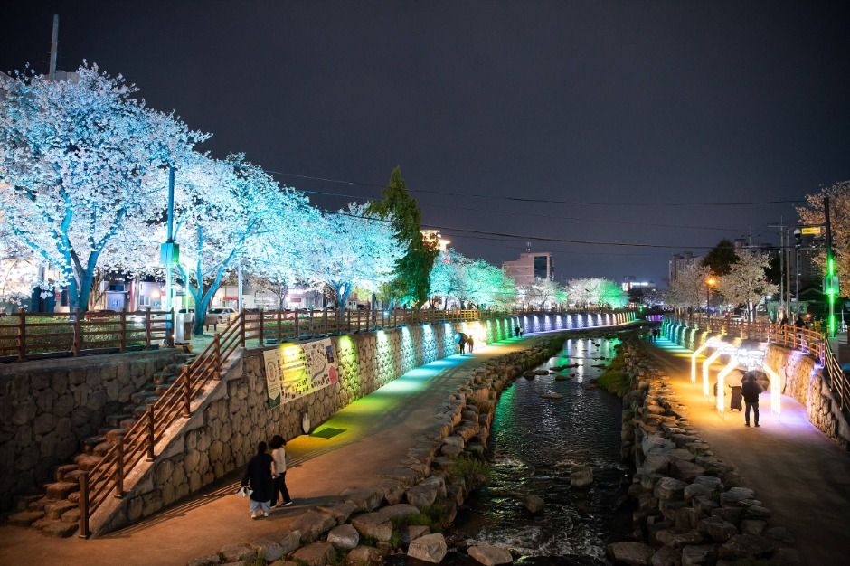 구미 청춘, 금오천 벚꽃 페스티벌