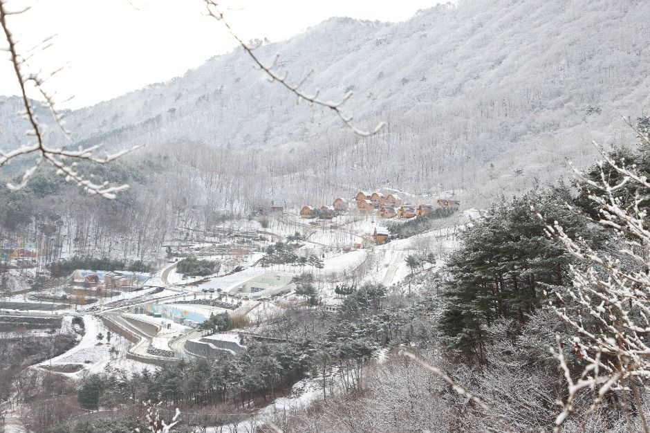 자굴산