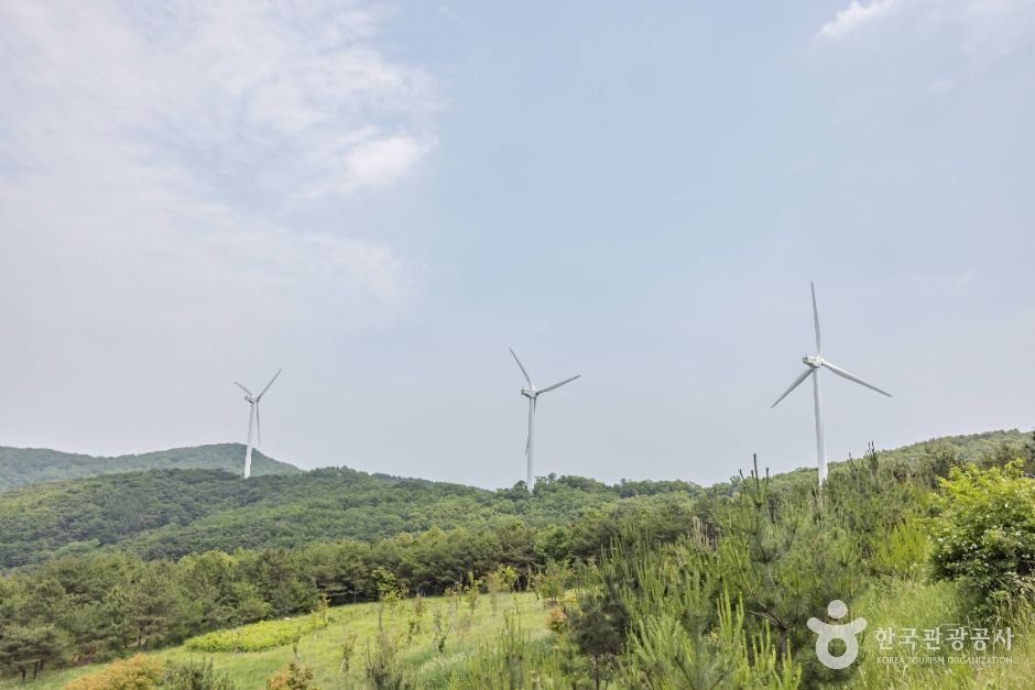 경주_경주 풍력발전(바람의언덕) (11)
