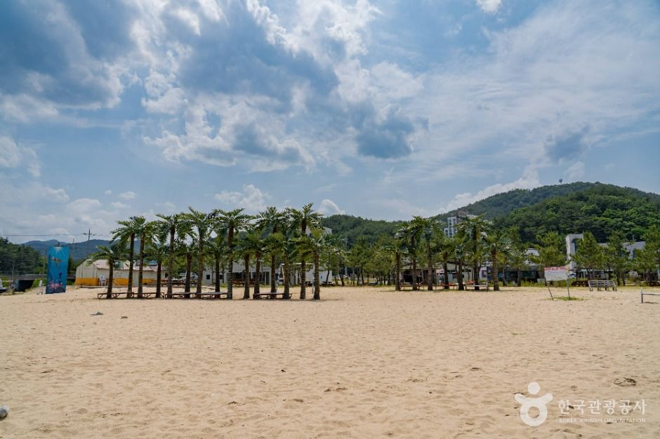 기사문해수욕장