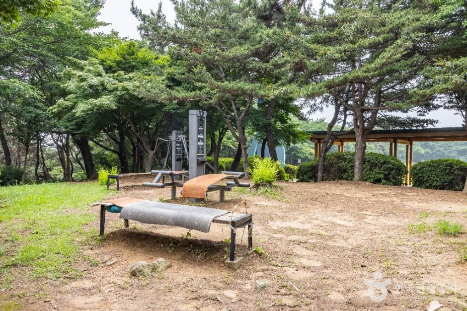 대학공원