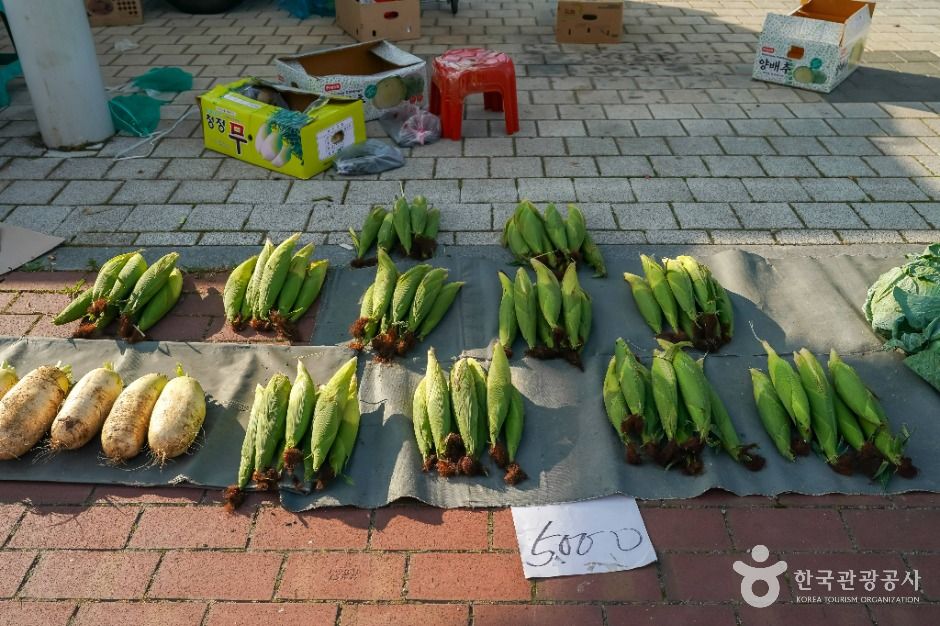 포항_장기장 (4, 9일) (3)