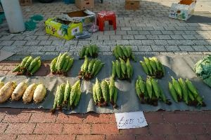 포항_장기장 (4, 9일) (3)