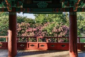 영주_구성공원 (4)