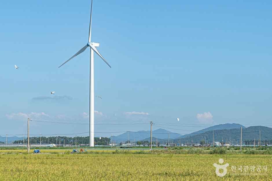 영광풍력발전단지 (2)