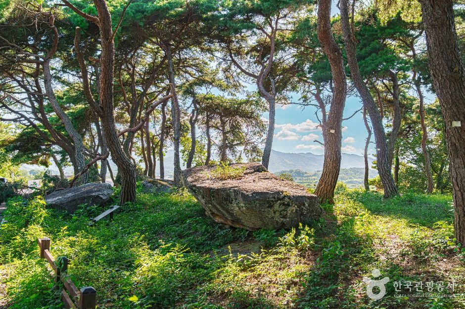 함평용월리지석묘군