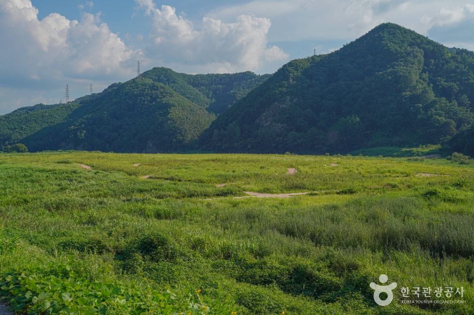 내도리강변유원지