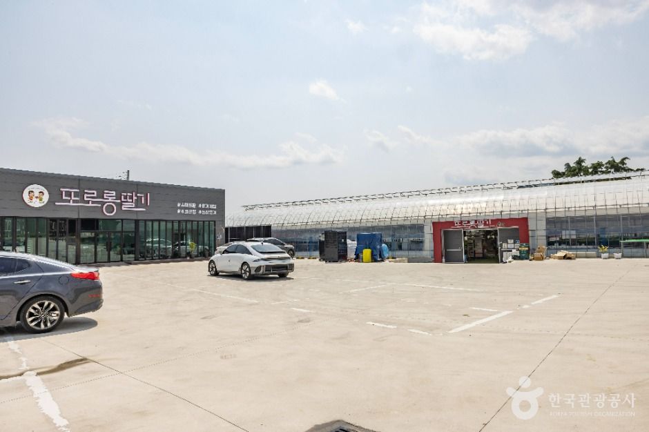 thumbnail-또로롱딸기-2